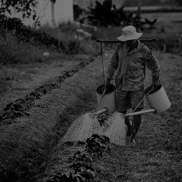 Direito Agrário e Agronegócio